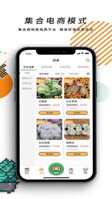 一植拍官方版2