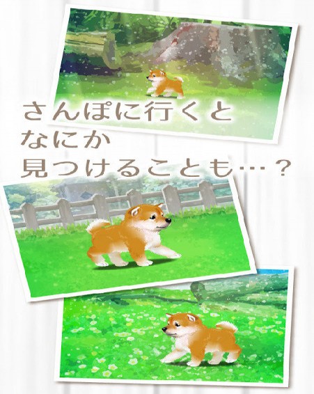 治愈系柴犬育成安卓版1
