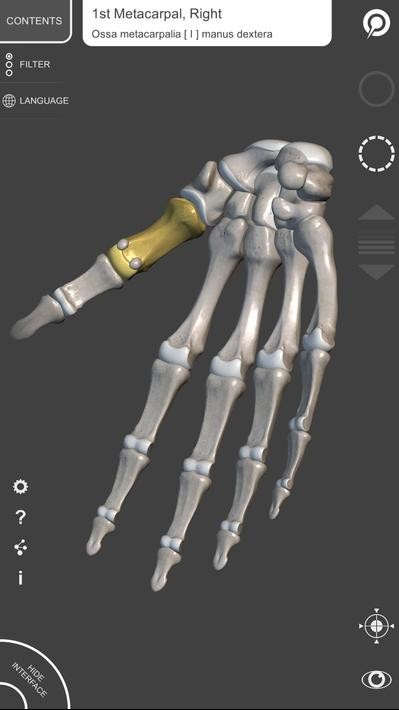 艺术家之3d解剖图app2