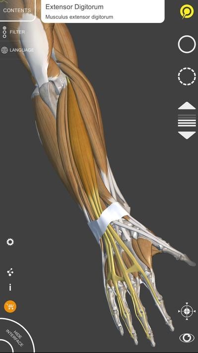 艺术家之3d解剖图app4