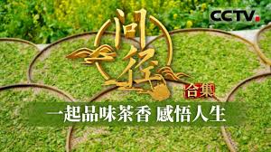 中国茶叶学会合集
