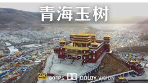智慧玉树合集