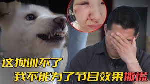 训狗师合集