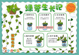 植物日记合集