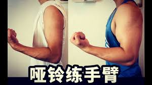 哑铃家庭锻炼合集