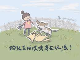 摇摆狗狗合集