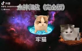 夜猫影视合集