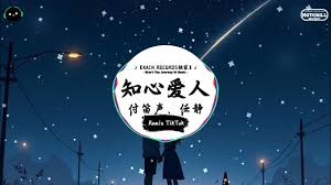 夜知心合集