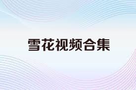 雪花视频合集