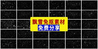 雪花网合集