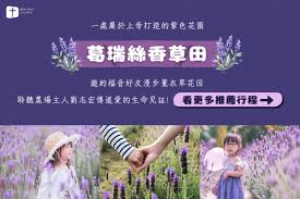 薰衣草研究所合集