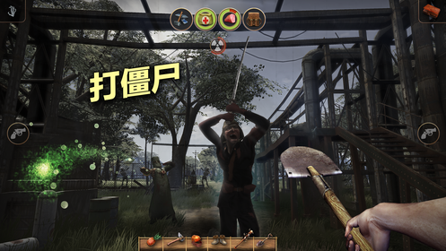 辐射岛 联机版1