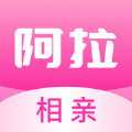 阿拉相亲