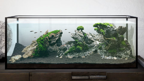 水族造景模拟器1