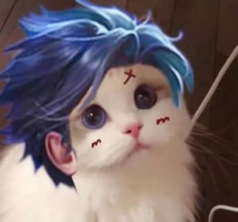 王者荣耀猫咪接头头像图片全英雄高清免费分享1