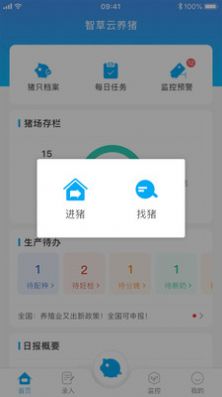 智草云养猪2