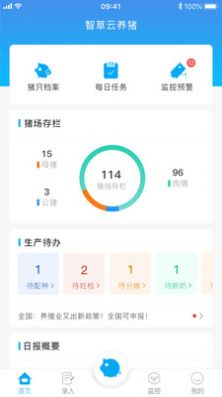 智草云养猪3