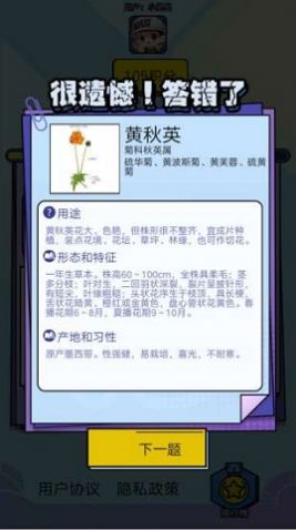 爱上鲜花游戏最新福利版2