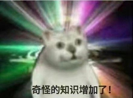 抖音一排猫咪点头表情包2
