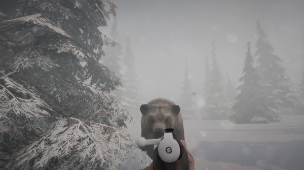 Mystery Trails2