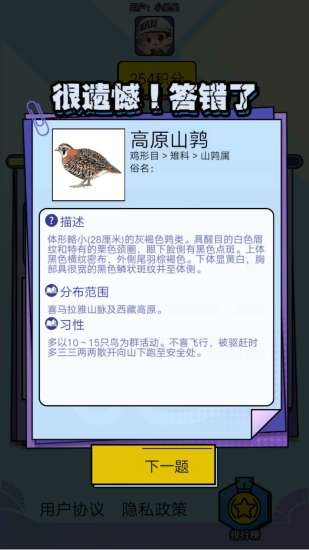 飞鸟乐园1