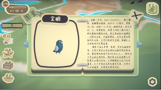 鸟之森模拟经营游戏3