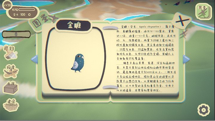鸟之森游戏1