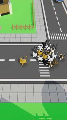 寻找猫咪1