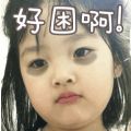 好困啊表情包搞笑图片大全无水印完整手机版
