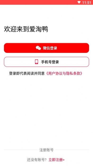 爱淘鸭2