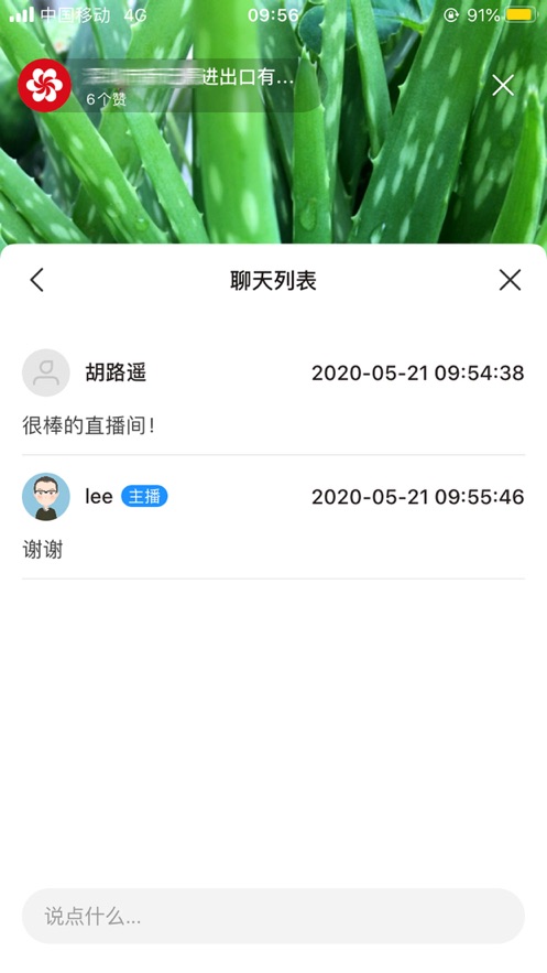 广交会展商直播间主播版1