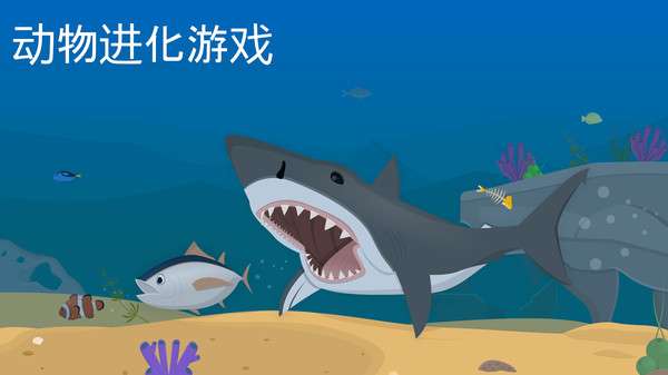 动物进化论1
