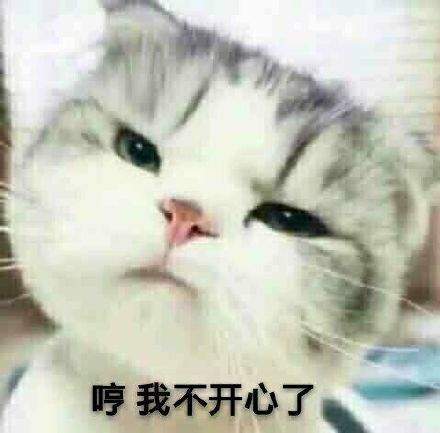 微信不开心表情包gif撇嘴可爱搞笑图片大全高清无水印分享1