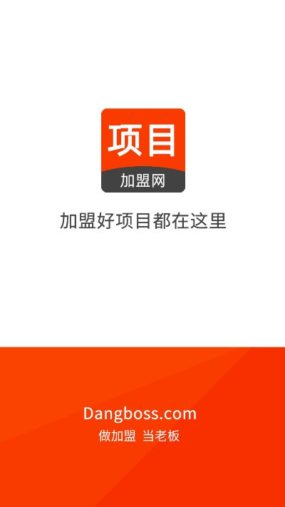 项目网1