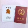 抖音最火地摊证生成器