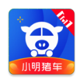 小明猪车app靠谱版