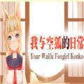 我与空狐的日常中文版