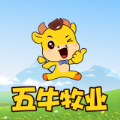 五牛牧业养牛