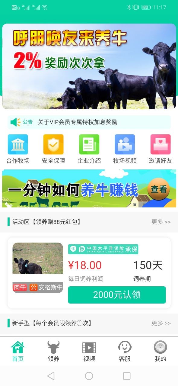 五牛牧业养牛2