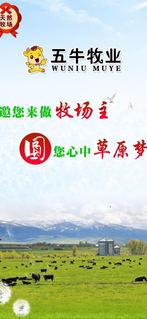 五牛牧业养牛3