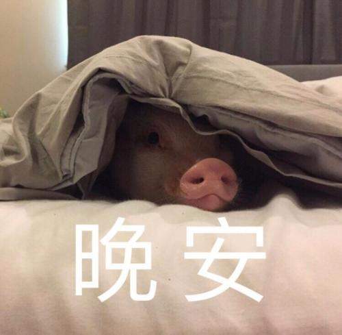 晚安表情包可爱撩人gif动态图片大全高清无水印完整版分享2