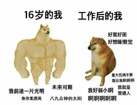 肌肉doge与小废狗表情包大全高清无水印免费分享3