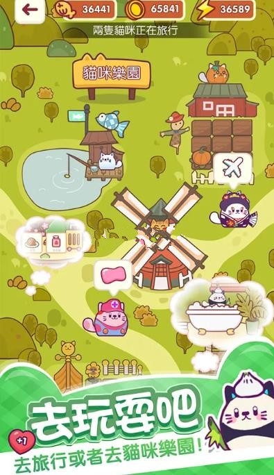 加加猫3