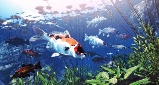 steam我的锦鲤游戏手机版2
