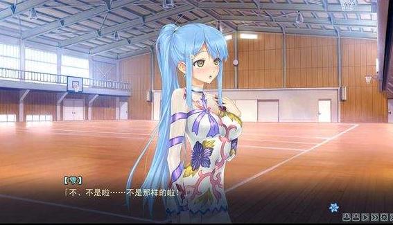 美少女万华镜5 中文版2