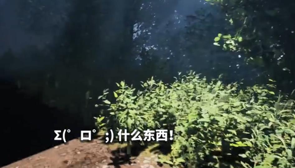 纸鱼解说基金会scp860游戏中文手机版1