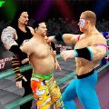 WWE团体世界冠军赛游戏