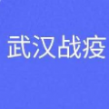 微信武汉战疫查核酸检测结果手机版