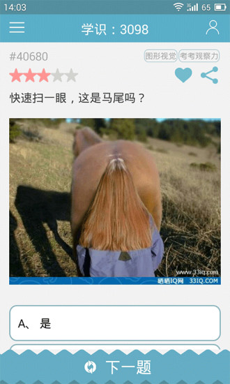 33IQ正式版游戏3