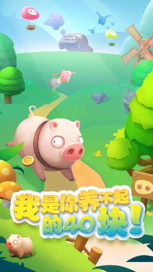 我的肉40块1